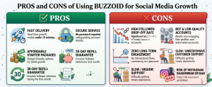 PROS and CONS of Using BUZZOID for Social Media Growth.