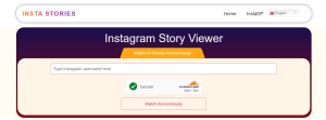Insta Stories Viewer