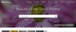StockSnap