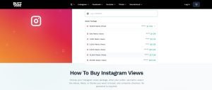 BuzzVoice Instagram Views